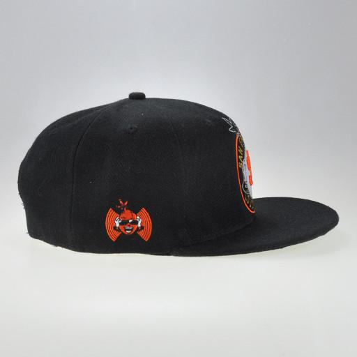 Embroidery snapback cap