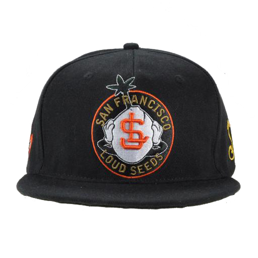 Embroidery snapback cap