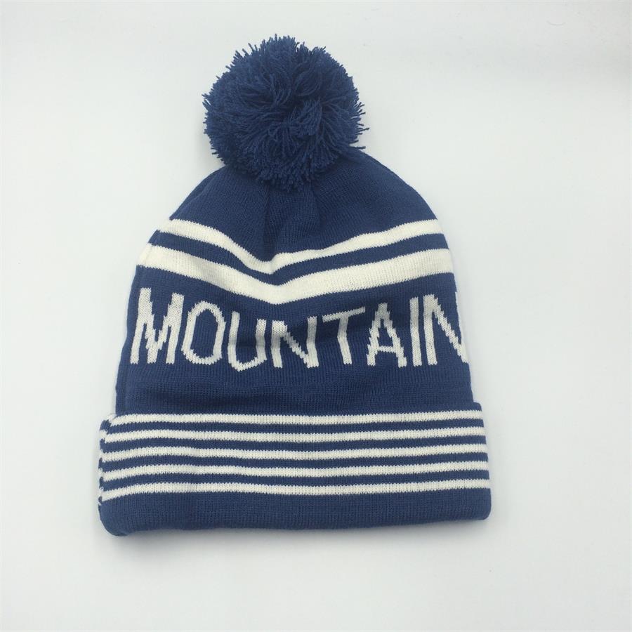HOT SALE jacquard knit pom beanie with Embroidery beanie hat