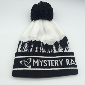 wholesale custom beanie your own embroidery logo woven label 100% acrylic pom pom beanie hat/knitted beanie in winter hat